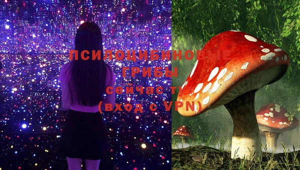 хмурый Кодинск
