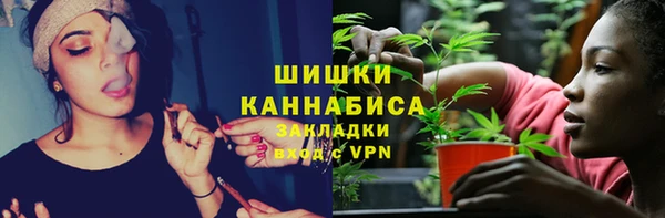дурь Козельск