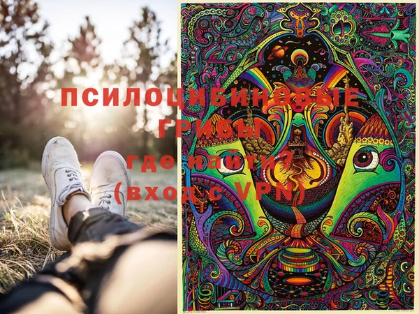 меф Корсаков