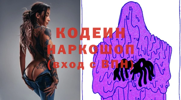 хмурый Кодинск
