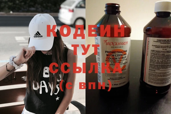 хмурый Кодинск
