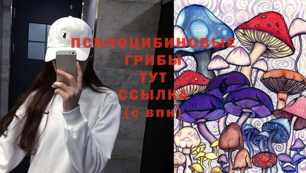 меф Корсаков